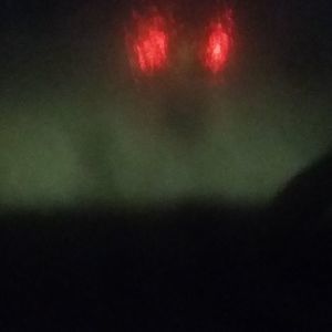 Meet your Posher, Roger